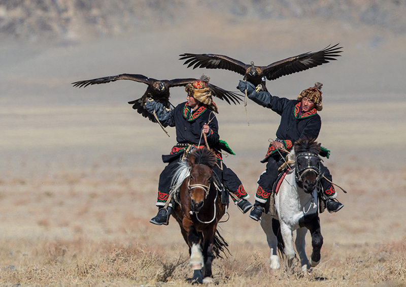 eagle hunting 
